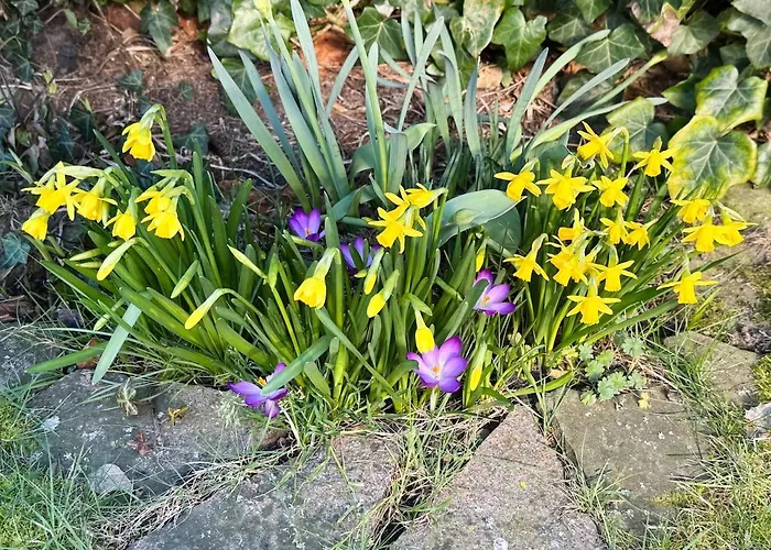 Charmante Vakantiewoning Aan Zee Casa de Férias Ouddorp