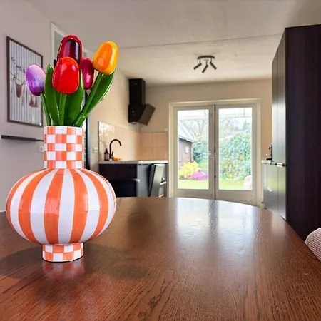 Charmante Vakantiewoning Aan Zee Ouddorp